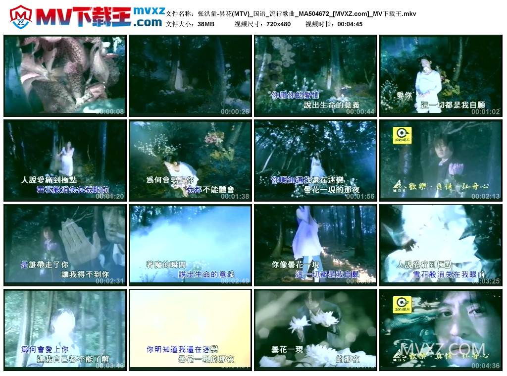 张洪量-昙花(MTV)_国语_流行歌曲_MA504672